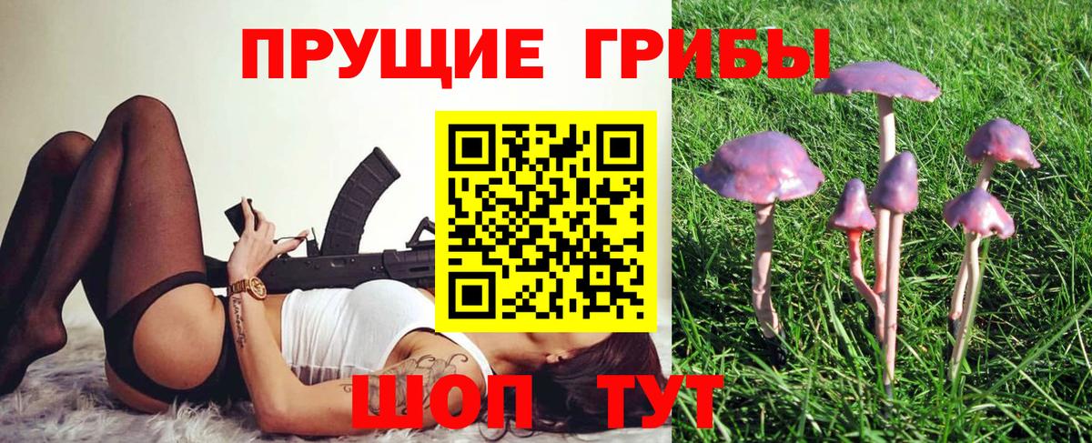 Галлюциногенные грибы ЛСД  Вход с VPN  Елец 