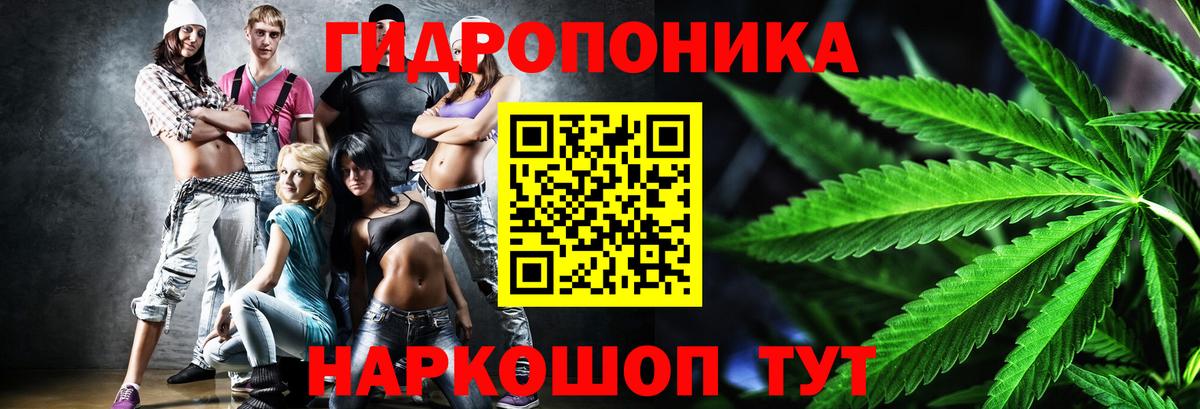 A PVP Елец